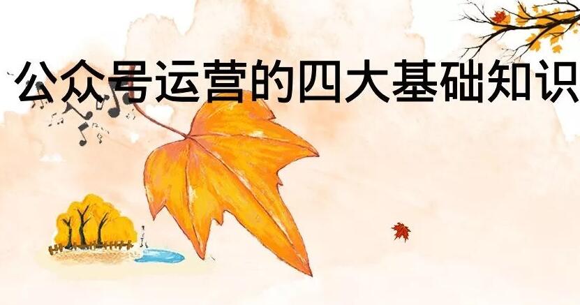 微信运营